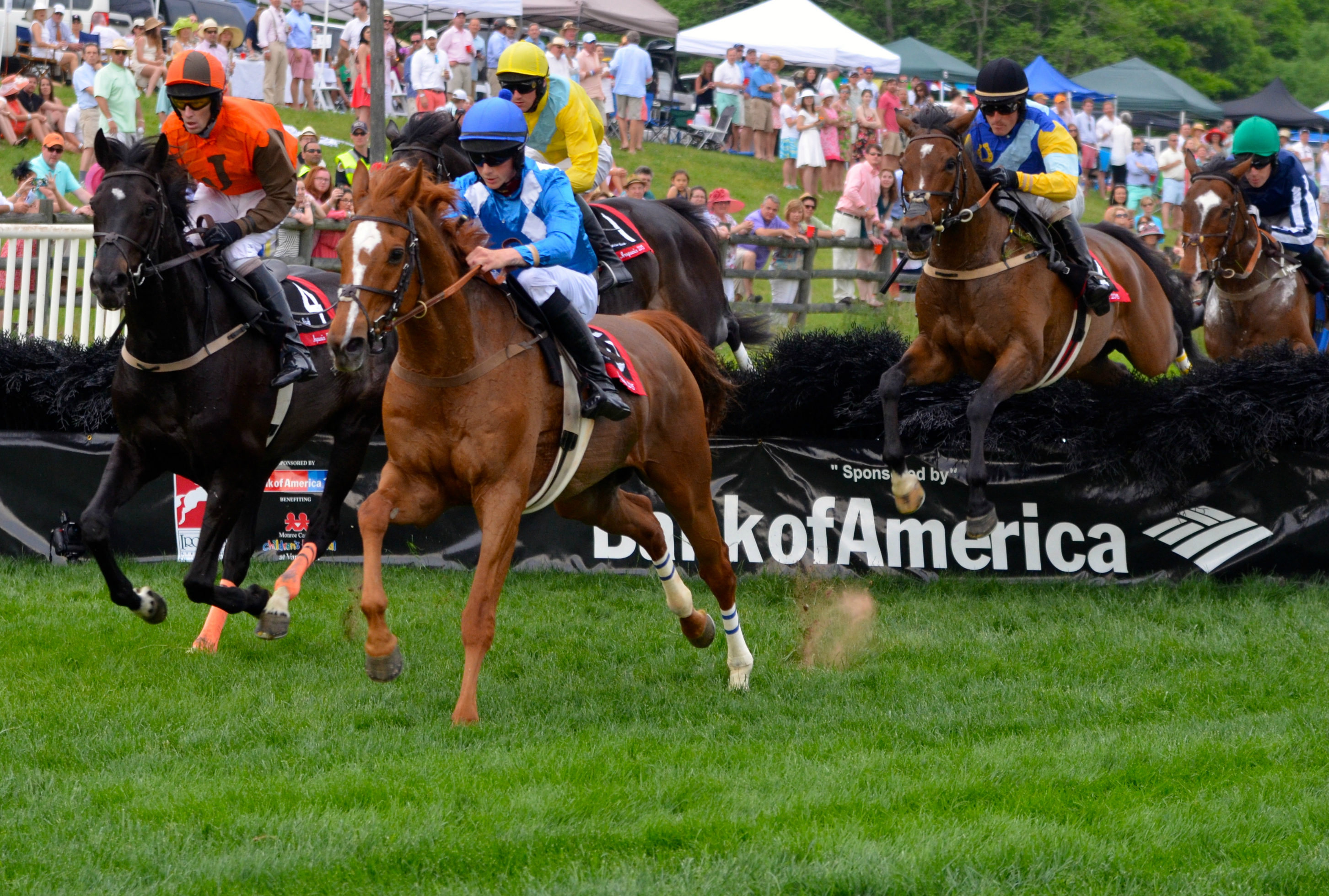 Iroquois-Steeplechase.jpg